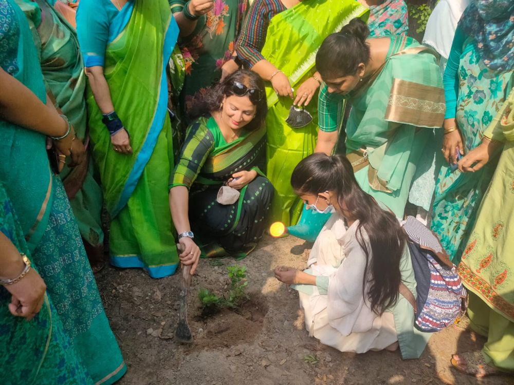 Tree Plantation 4